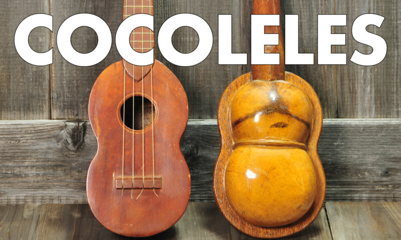 cocoleles coconut ukuleles