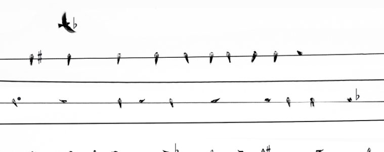 how to read ukulele music notation illustration featuring birds sitting on a wire