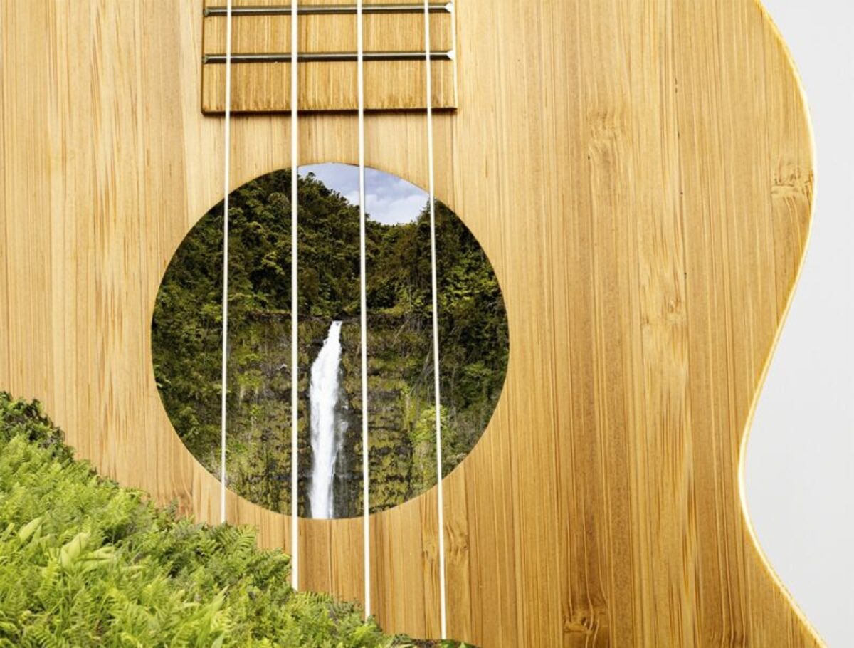 dom Følg os Kunstig Ukulele Makers Large and Small are Embracing the Eco-Friendly Practice of  Sustainability | Ukulele Magazine